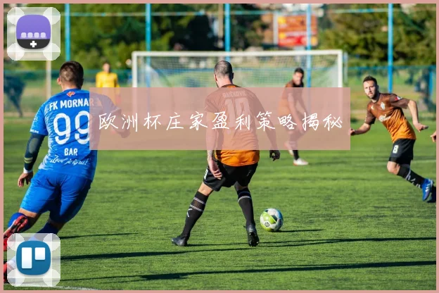 欧洲杯庄家盈利策略揭秘