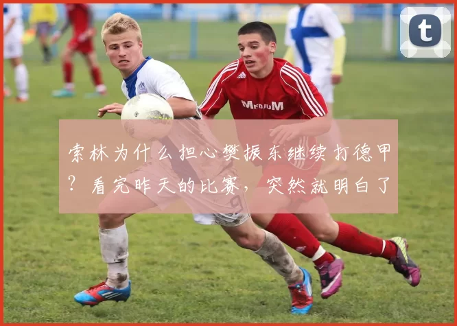 索林为什么担心樊振东继续打德甲？看完昨天的比赛，突然就明白了_乒乓球_球员_联赛