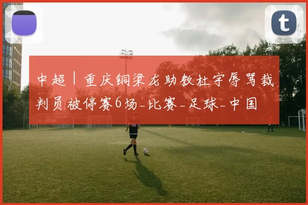 中超｜重庆铜梁龙助教杜宇辱骂裁判员被停赛6场_比赛_足球_中国