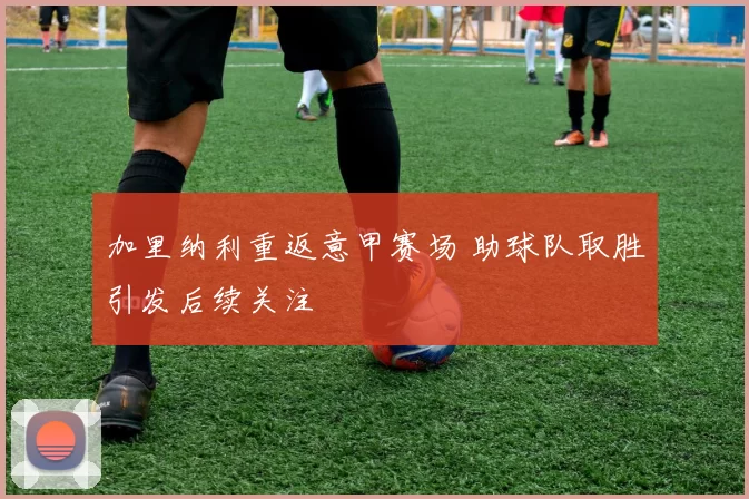 加里纳利重返意甲赛场 助球队取胜引发后续关注