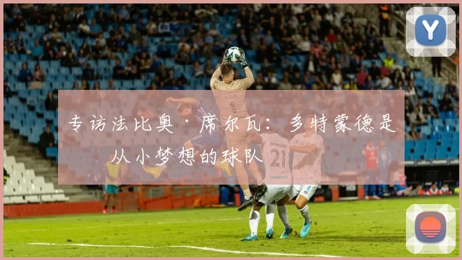 专访法比奥·席尔瓦：多特蒙德是我从小梦想的球队