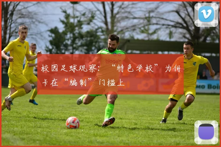 校园足球观察：“特色学校”为何卡在“编制”门槛上