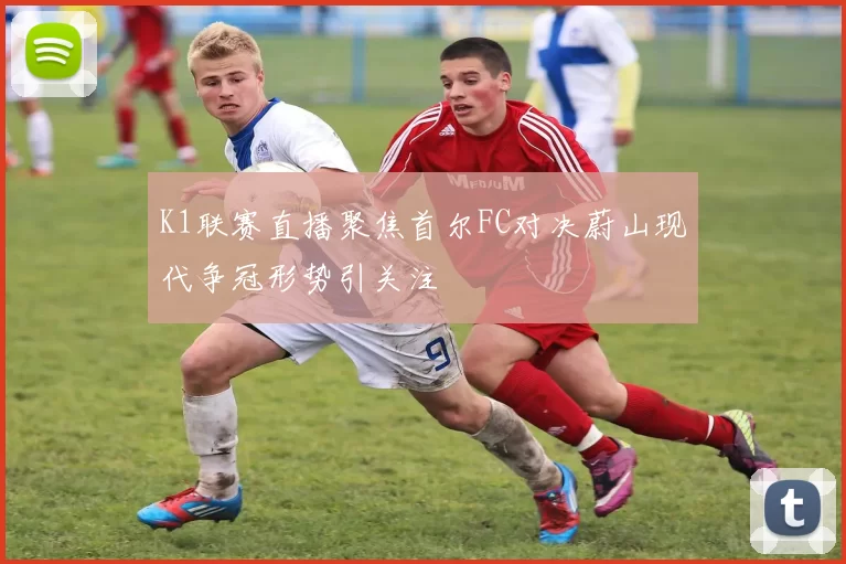 K1联赛直播聚焦首尔FC对决蔚山现代争冠形势引关注